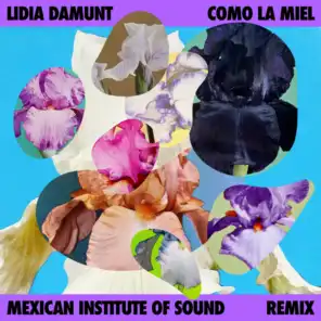 Como la Miel (Remix) [feat. Mexican Institute Of Sound]