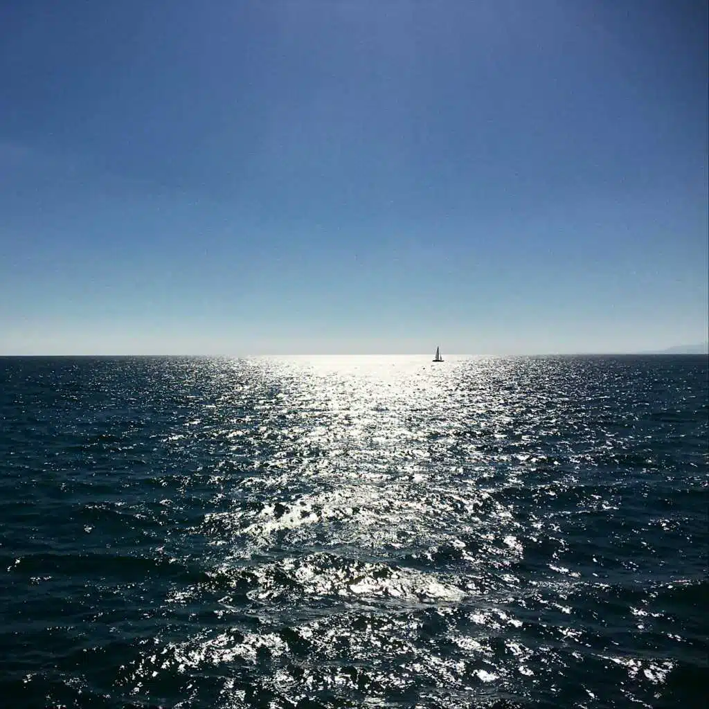 The Don Big Boss's: Southern Cali Mixed Tape