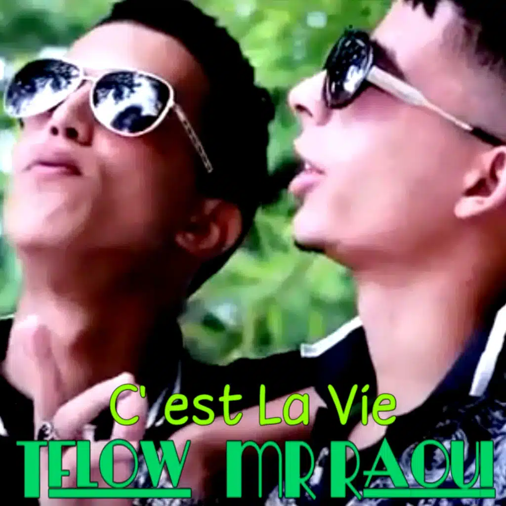 C'est La Vie (feat. TFLOW)