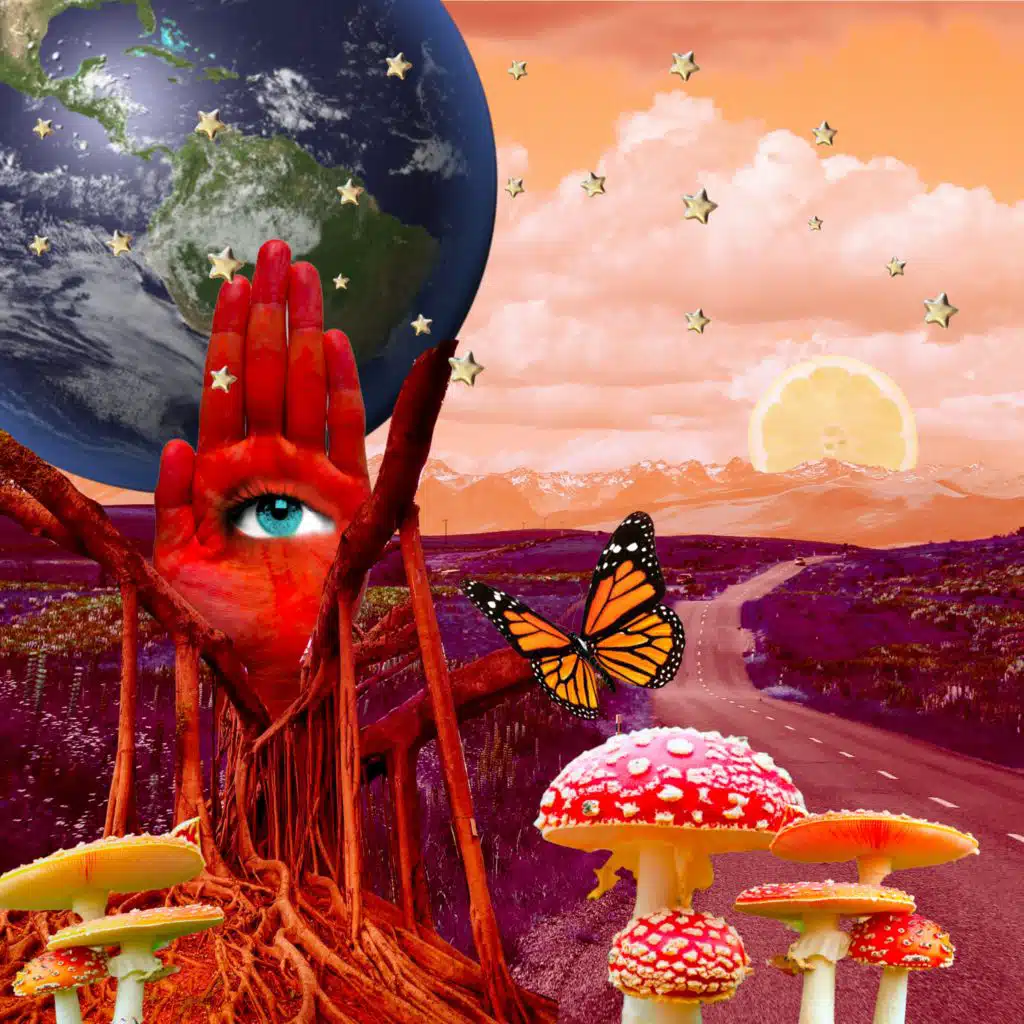 Root Chakra - Foundational Support