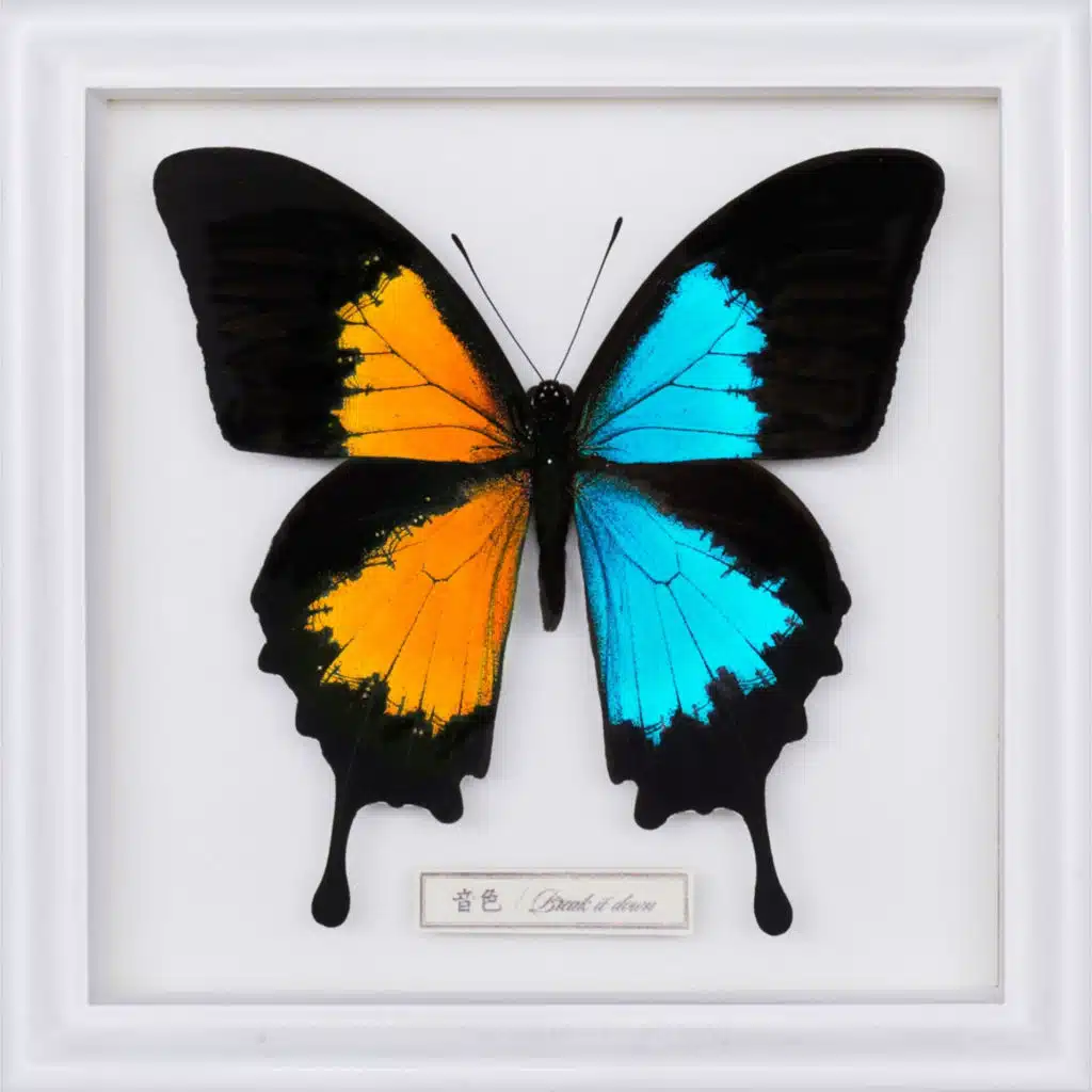 Neiro (Instrumental)