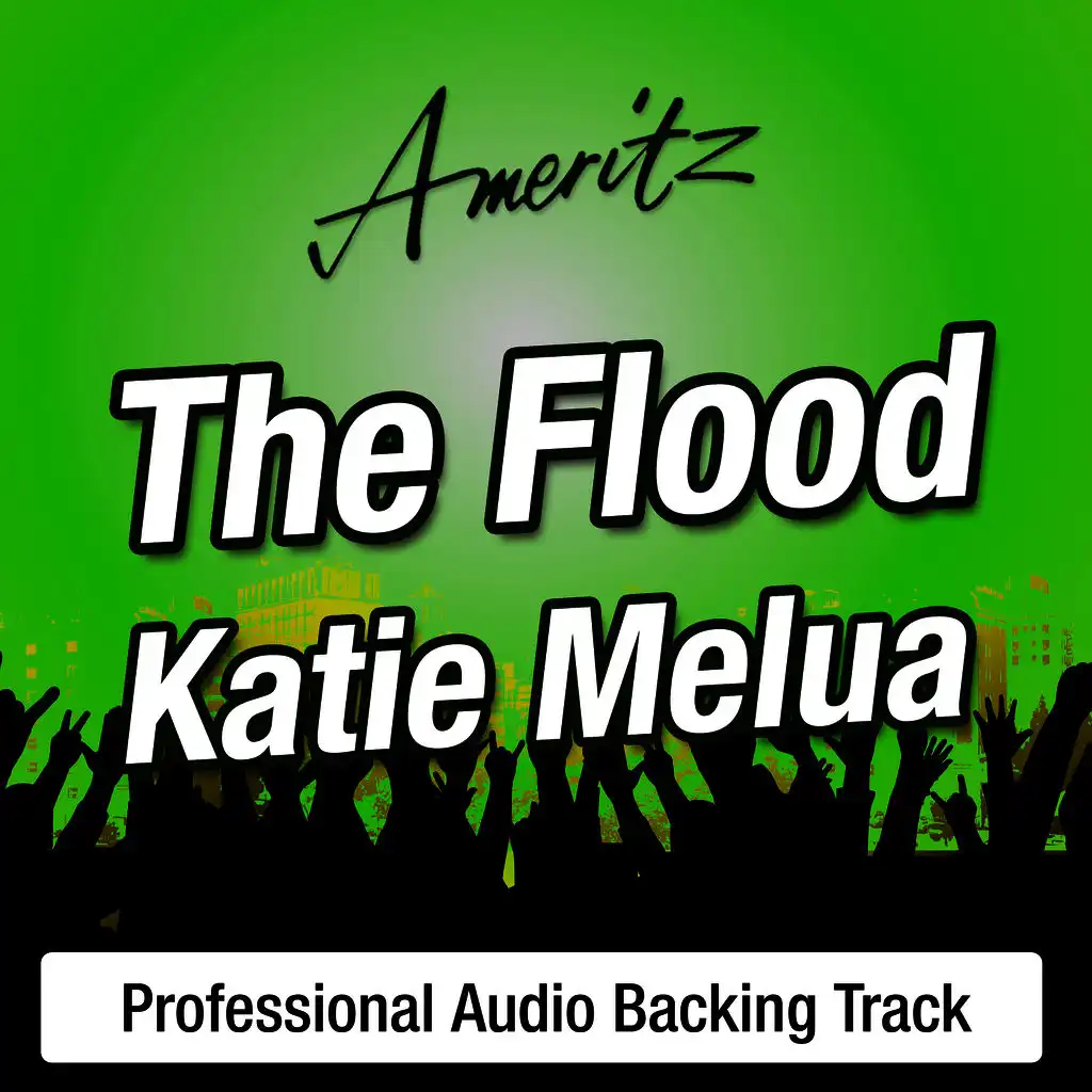 The Flood - Karaoke Version