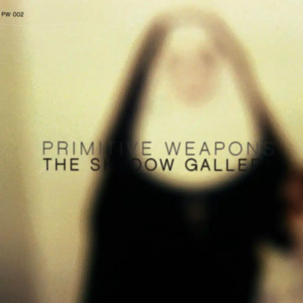 The Shadow Gallery