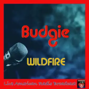 Wildfire (Live)