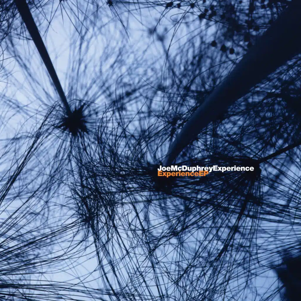 Madlib & Joe McDuphrey Experience