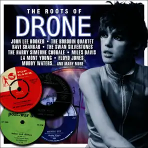 Roots Of Drone