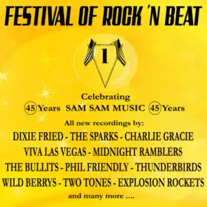 Festival of Rock 'n Beat, Volume 1