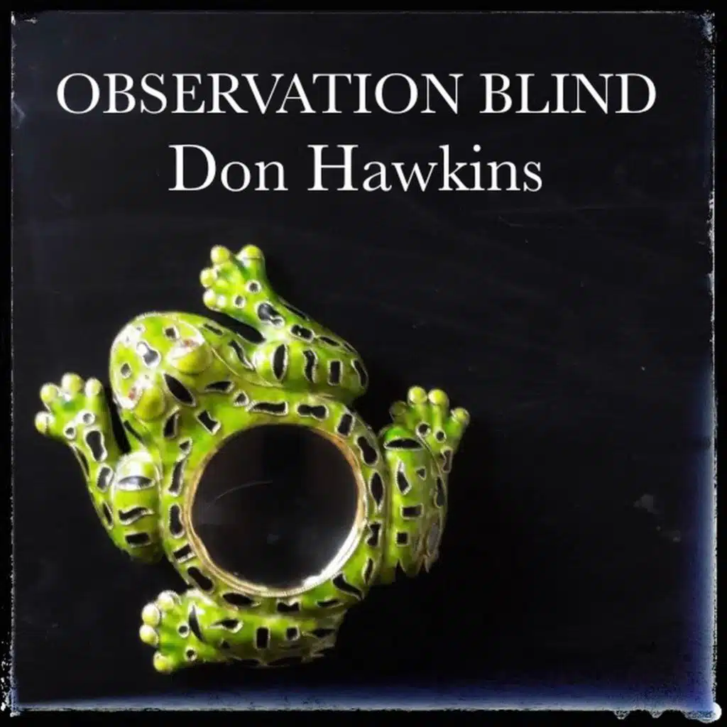 Observation Blind