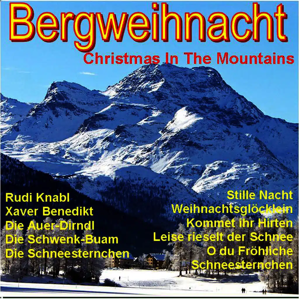 Chor & Orchester Xaver Benedikt