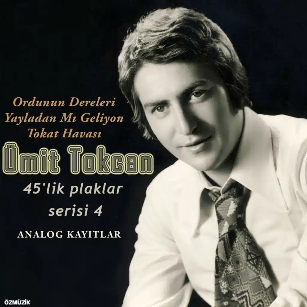 45'lik Plaklar Serisi, Vol. 4 (Analog Kayıtlar)