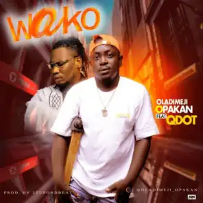 Wako (feat. QDot)