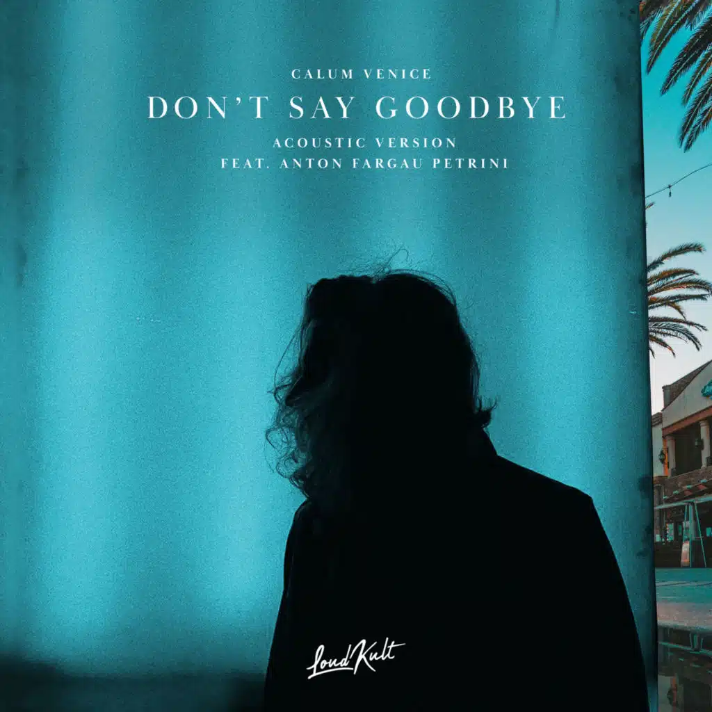 Don't Say Goodbye (Acoustic) [feat. Anton Fargau Petrini]