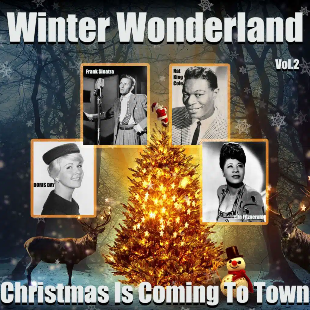 Winter Wonderland - Christmas Is Coming To Town Vol.2