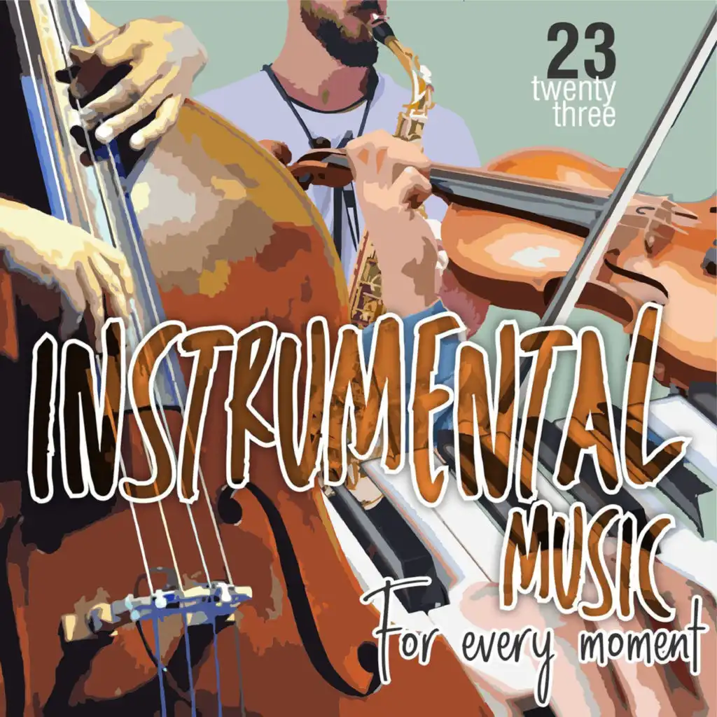 Instrumental Music For Every Moment Vol. 23