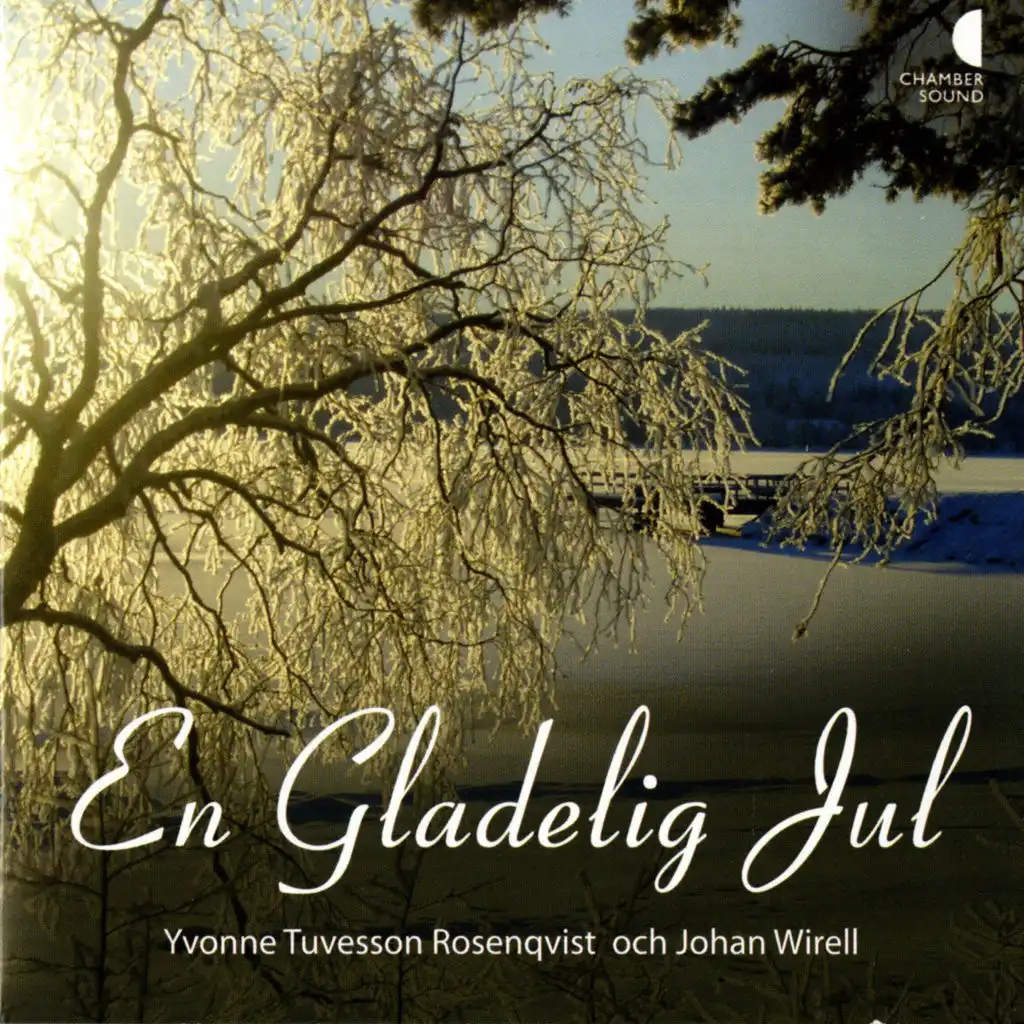 En gladelig jul