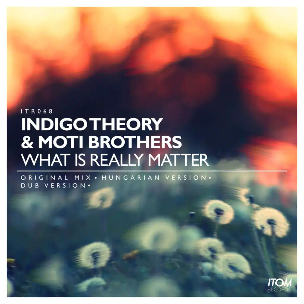Indigo Theory, Moti Brothers