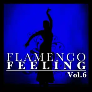 Flamenco Feeling Vol. 6
