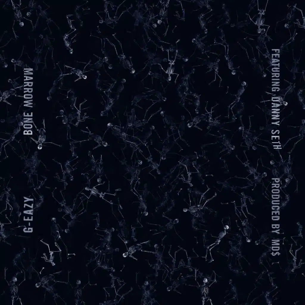 Bone Marrow (feat. Danny Seth)