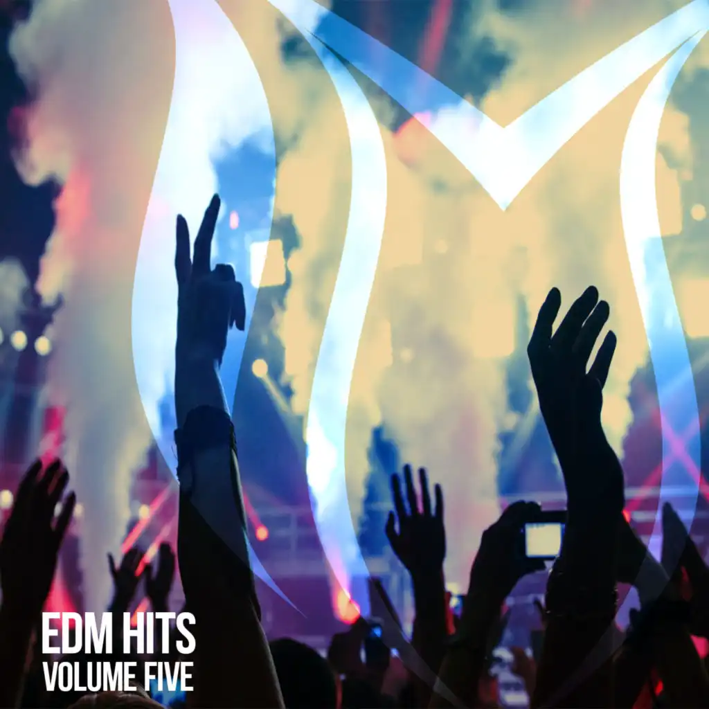 EDM Hits, Vol. 5