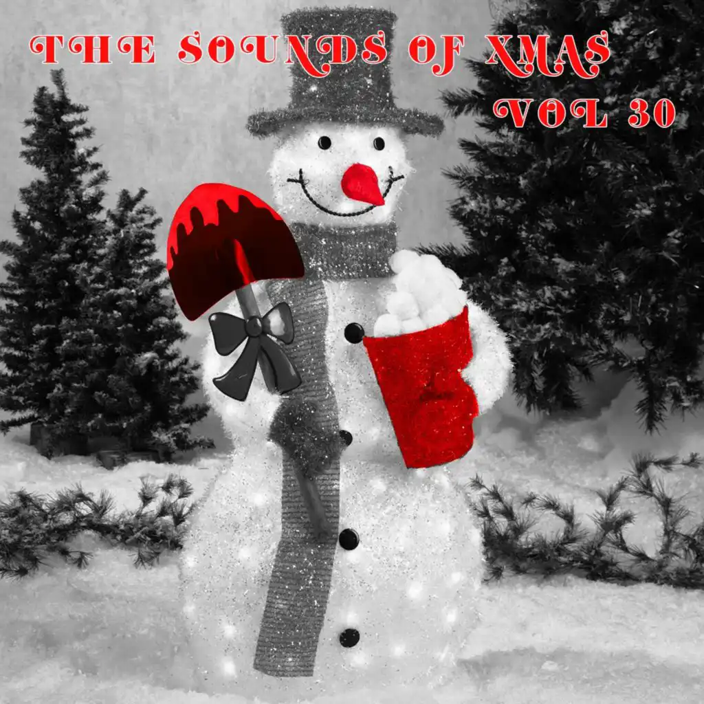 Sounds Of Xmas Vol, 30