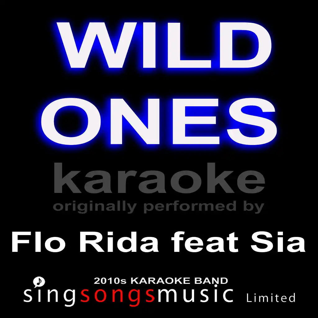 Wild Ones (Originally Performed By Flo Rida feat Sia) [Karaoke Audio Version]