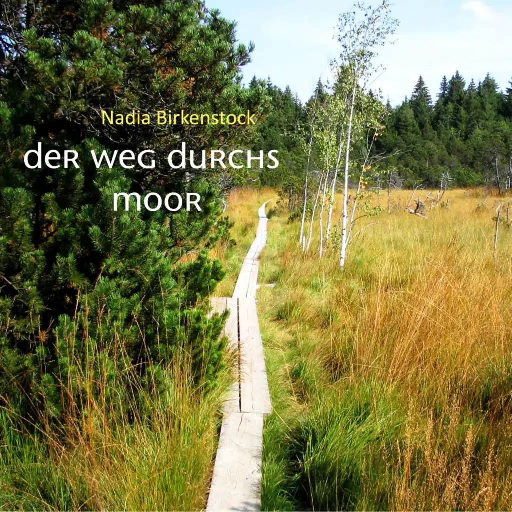 Der Weg durchs Moor