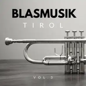 Blasmusik aus Tirol (Vol. 3)