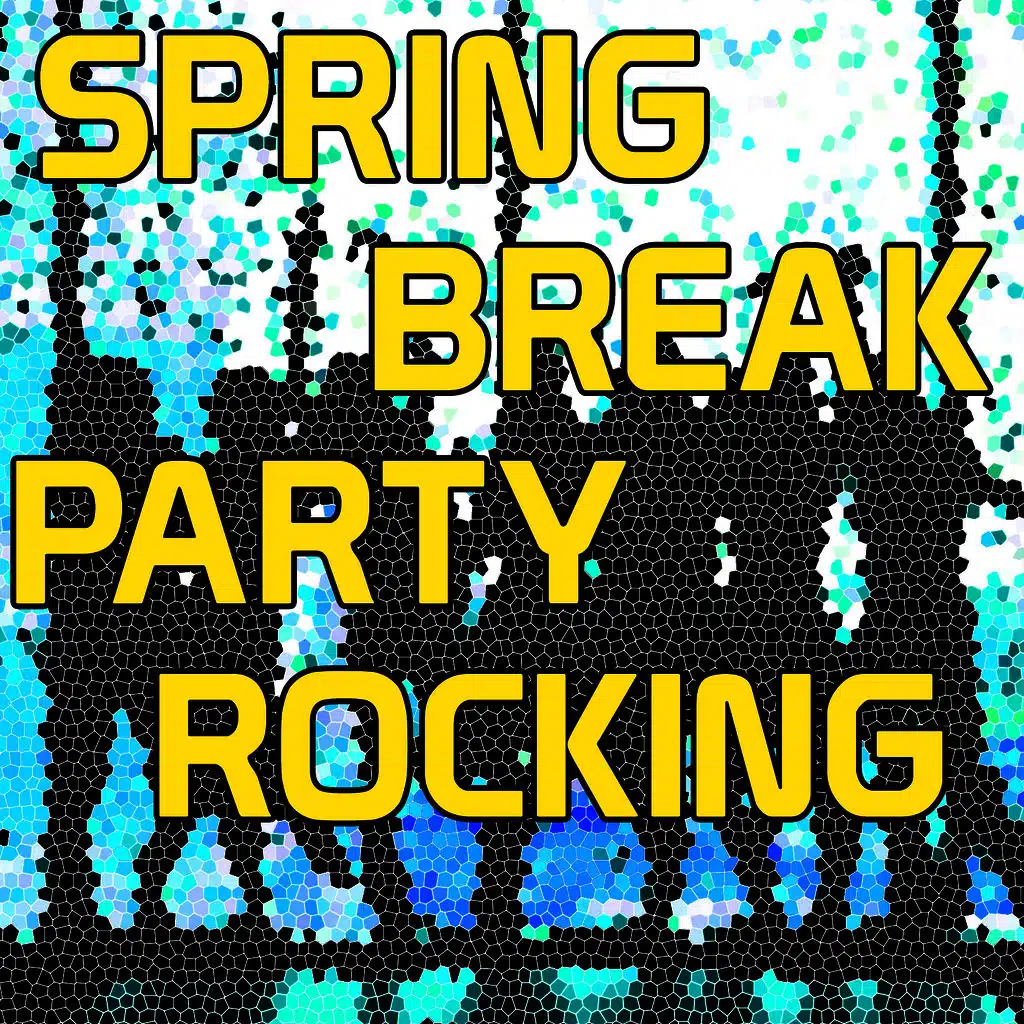Spring Break Party Rocking