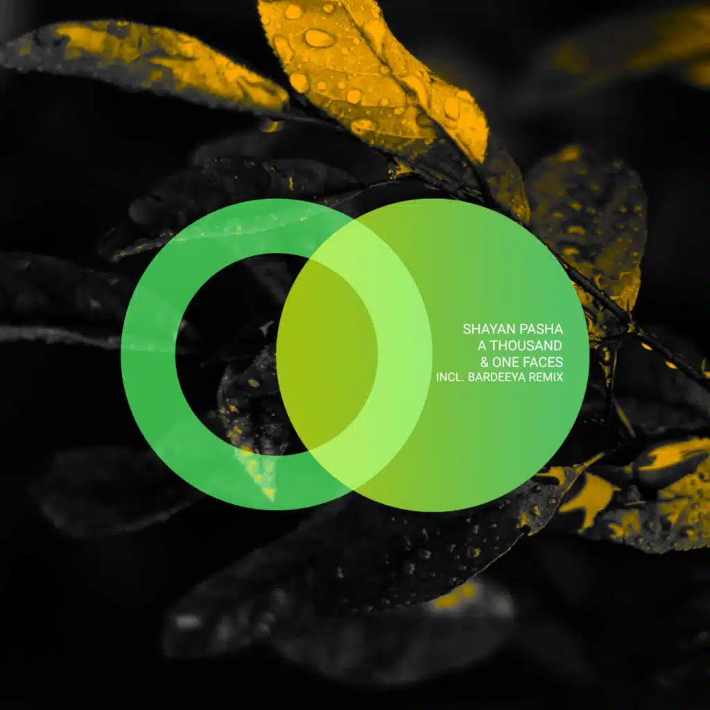 A Thousand & One Faces (Bardeeya Remix)