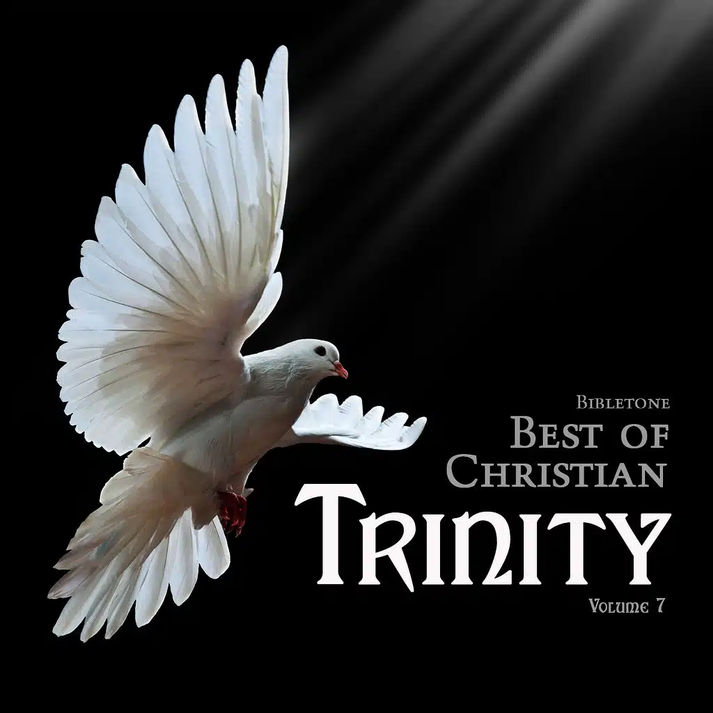 Bibletone: Best of Christian (Trinity), Vol. 7