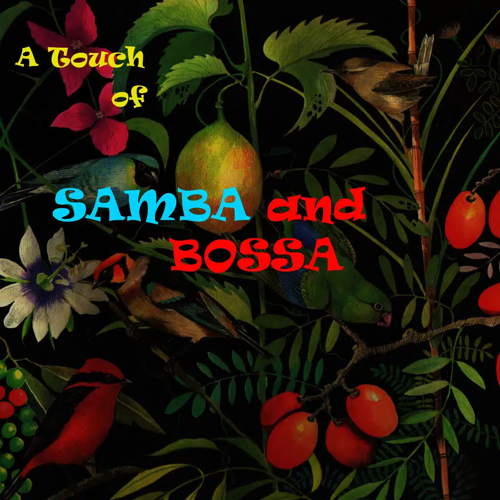 A Touch of Samba and Bossa