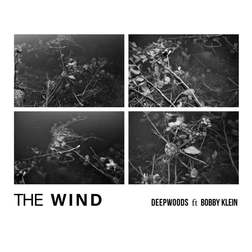 The Wind (feat. Bobby Klein)