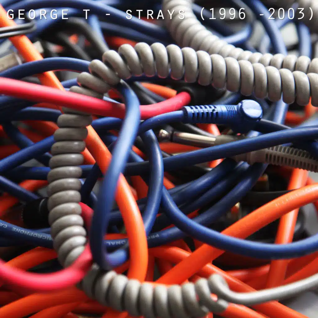 Strays : 1996 - 2003