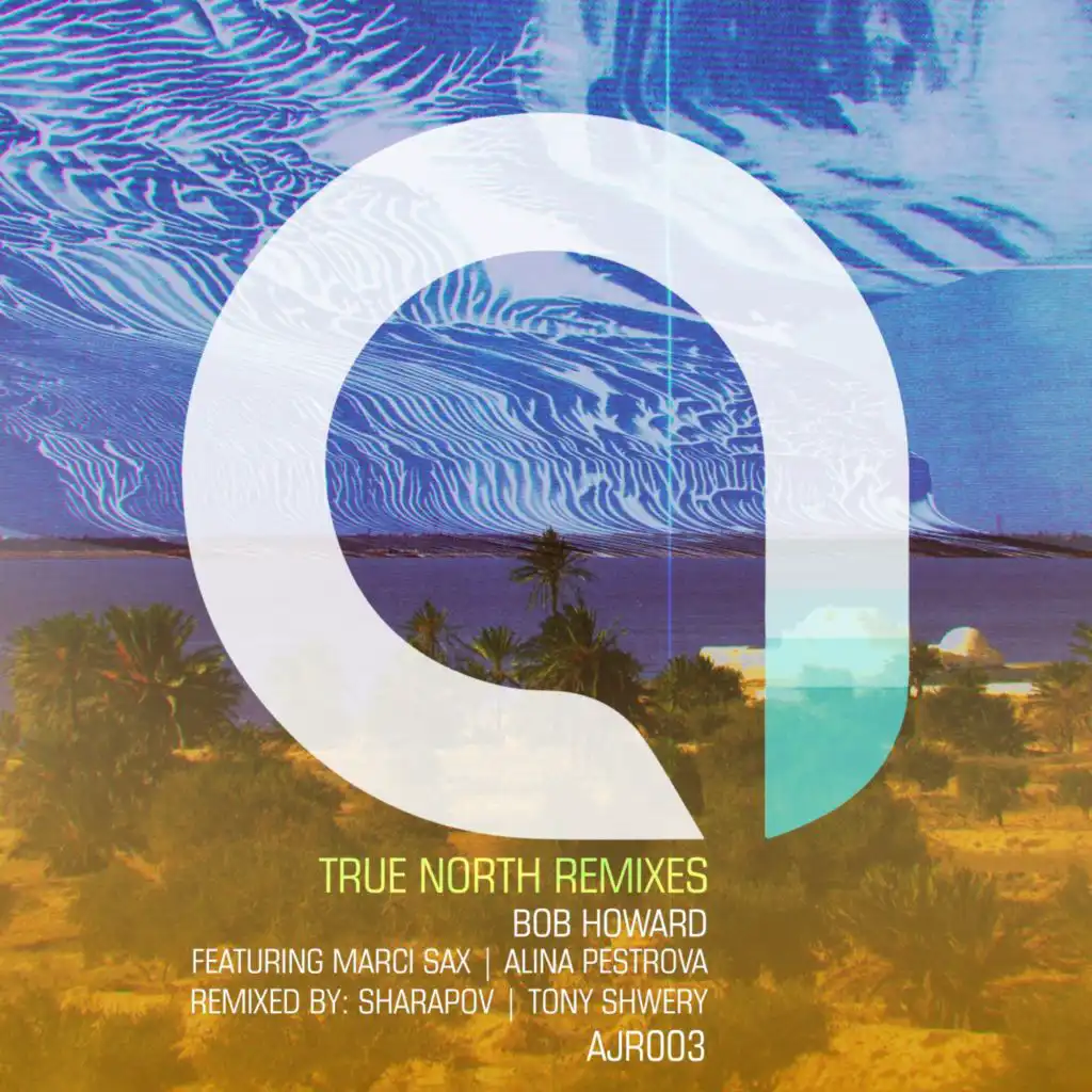 True North (Tony Schwery Remix)