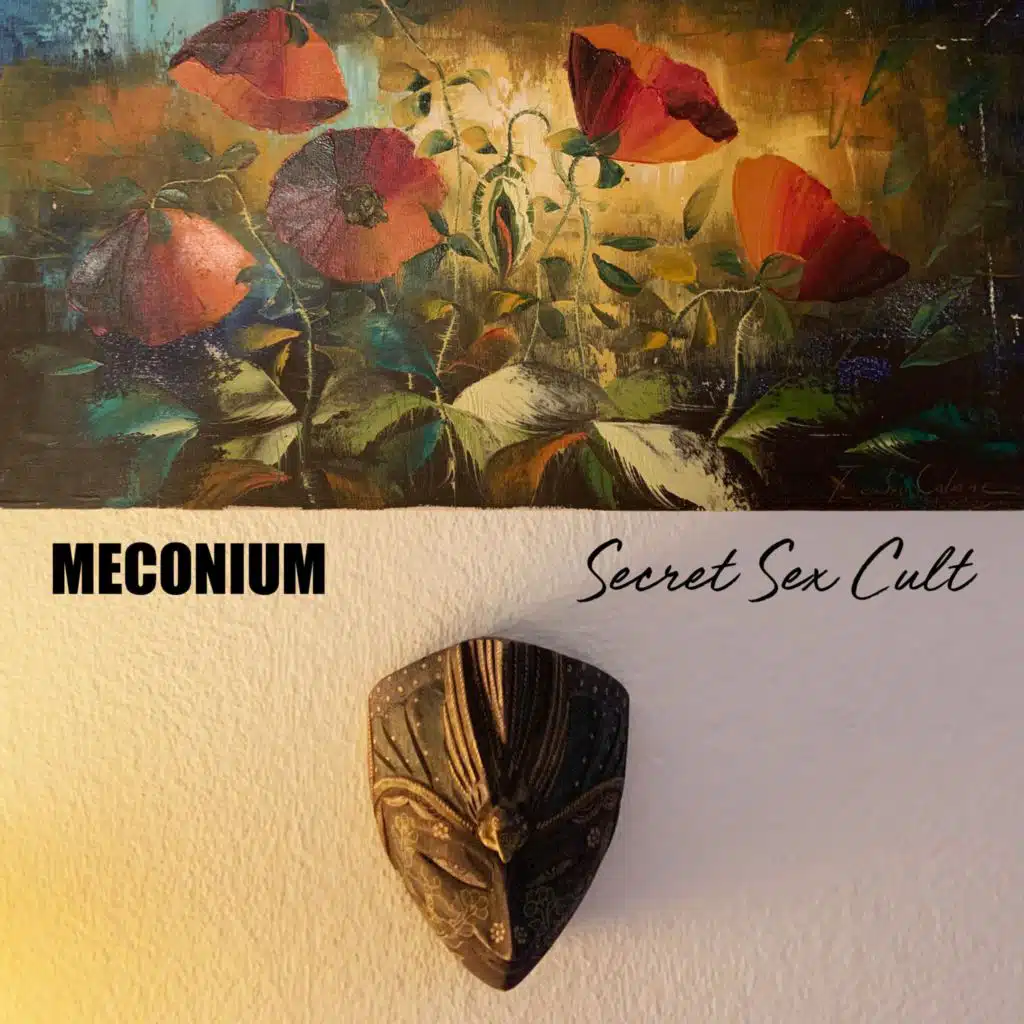 Secret Sex Cult