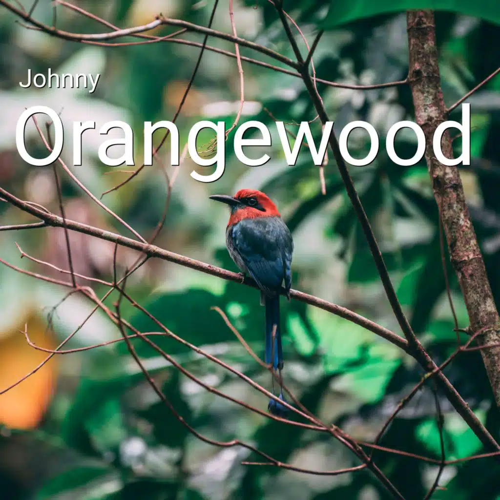 Orangewood
