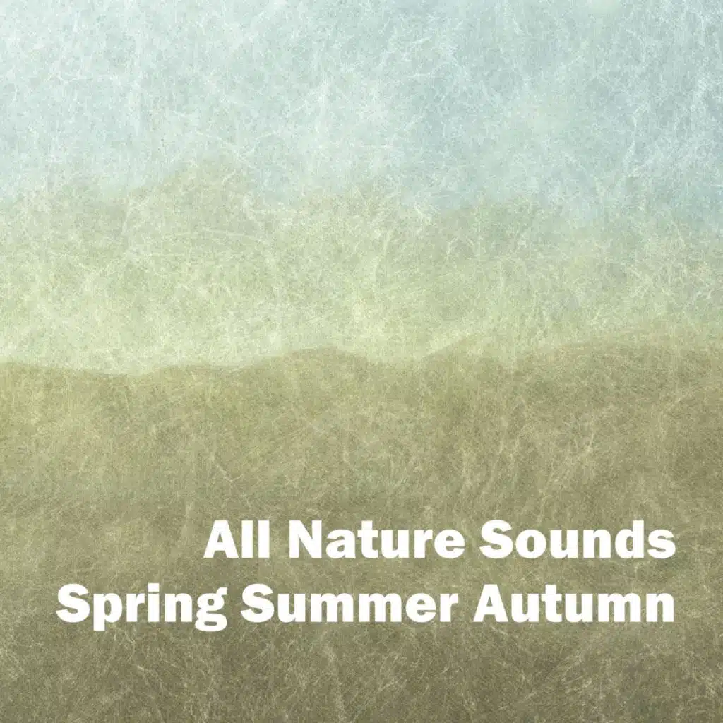 Spring Summer Autumn