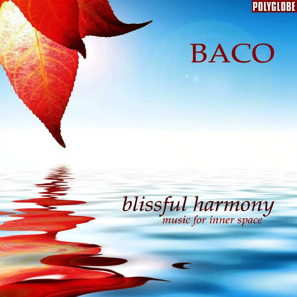 Blissful Harmony