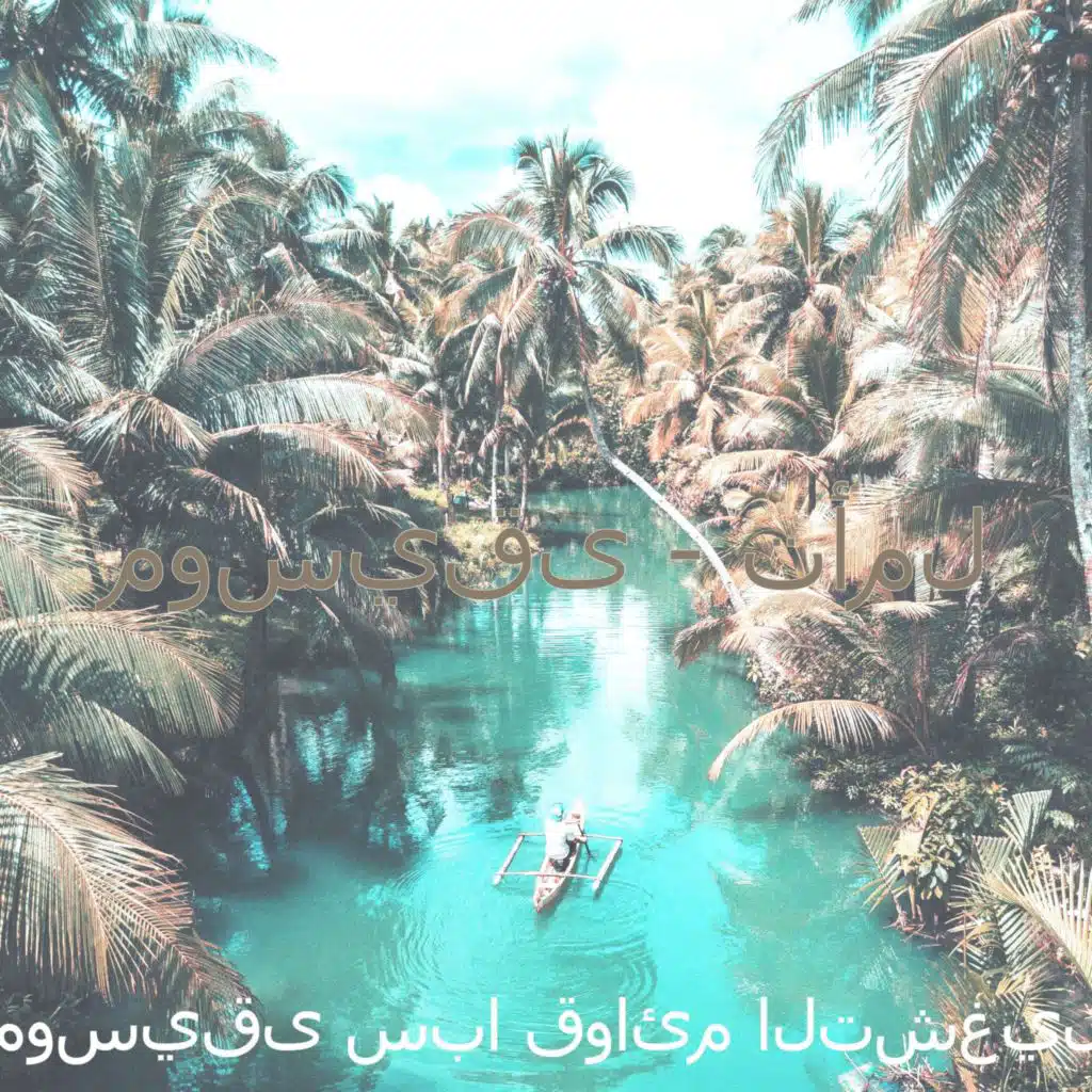موسيقى - تأمل