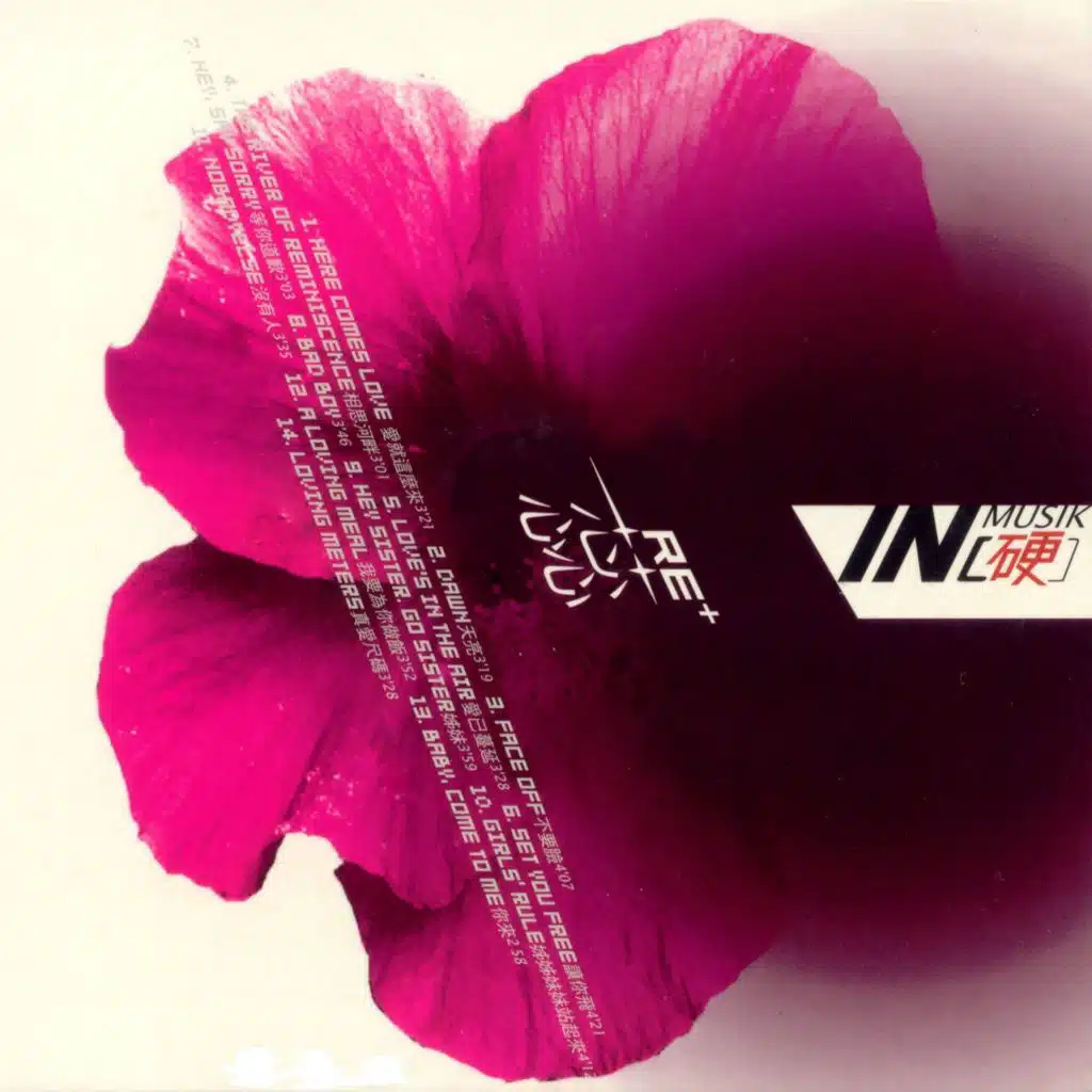 姊妹 (DJ David版)