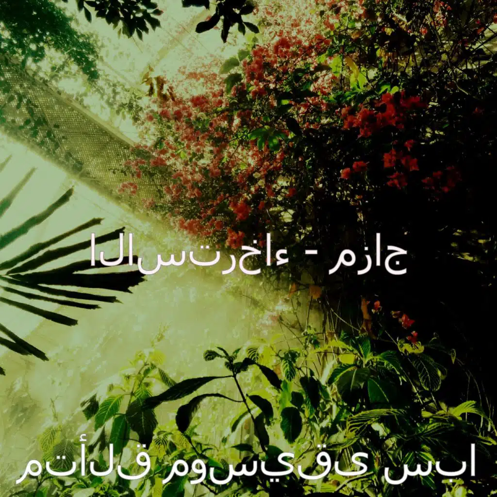 ذكريات (تأمل)