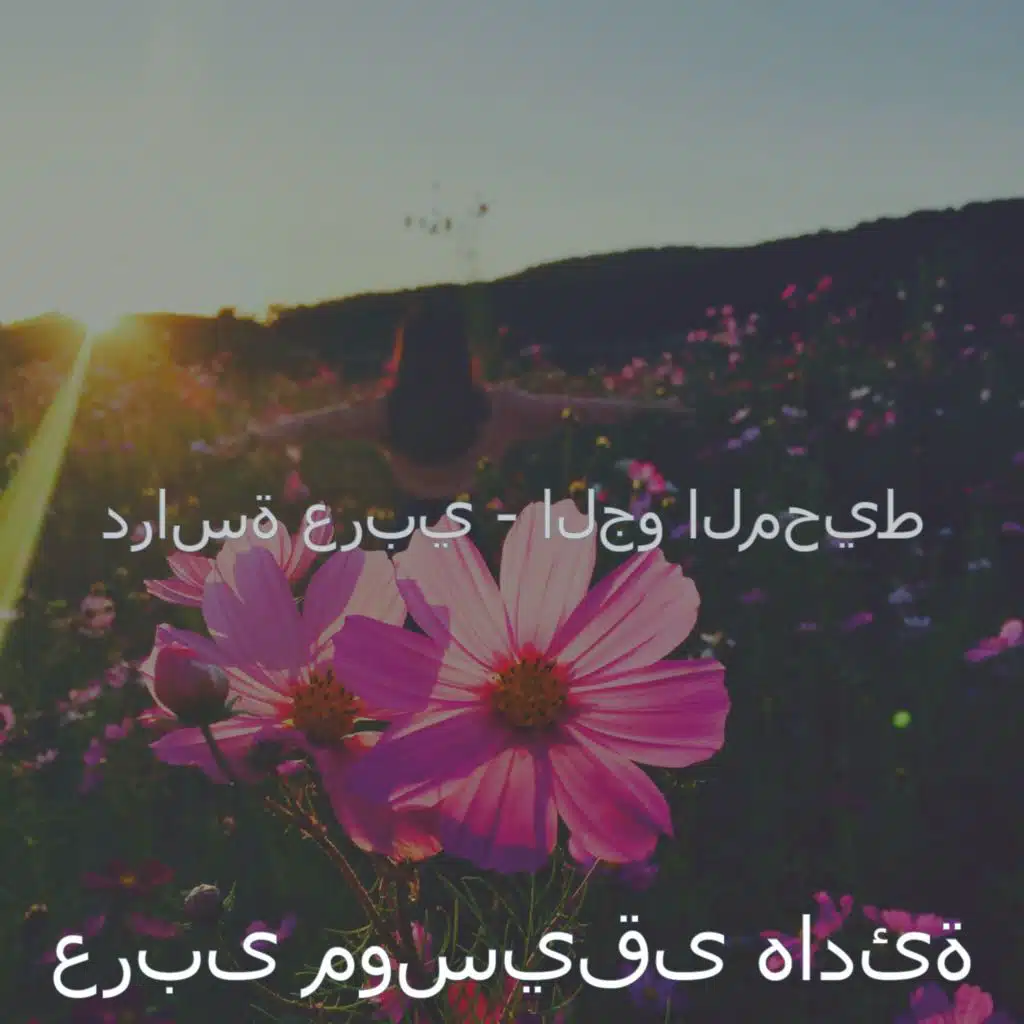 دراسة عربي - الجو المحيط