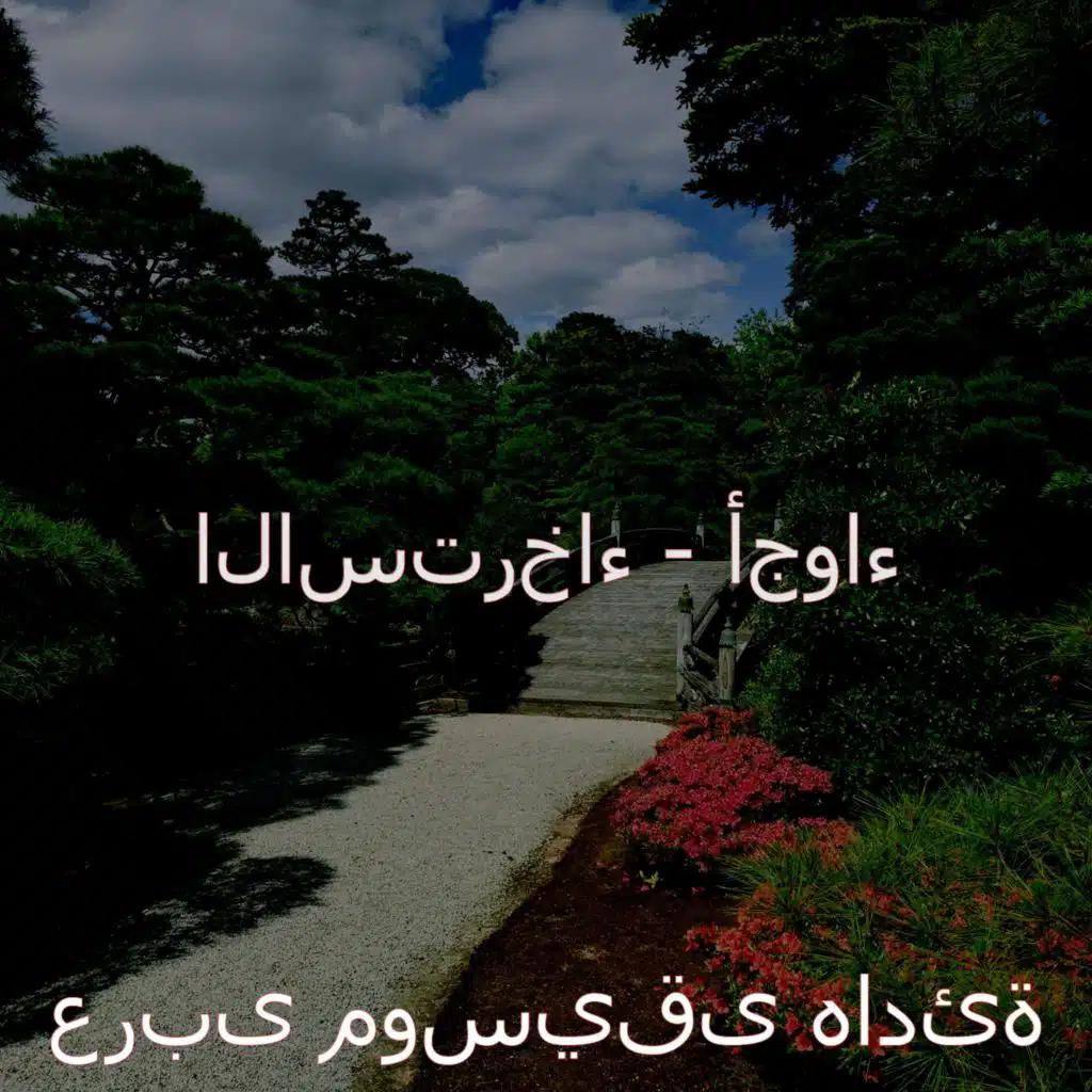 موسيقى (قراءة)