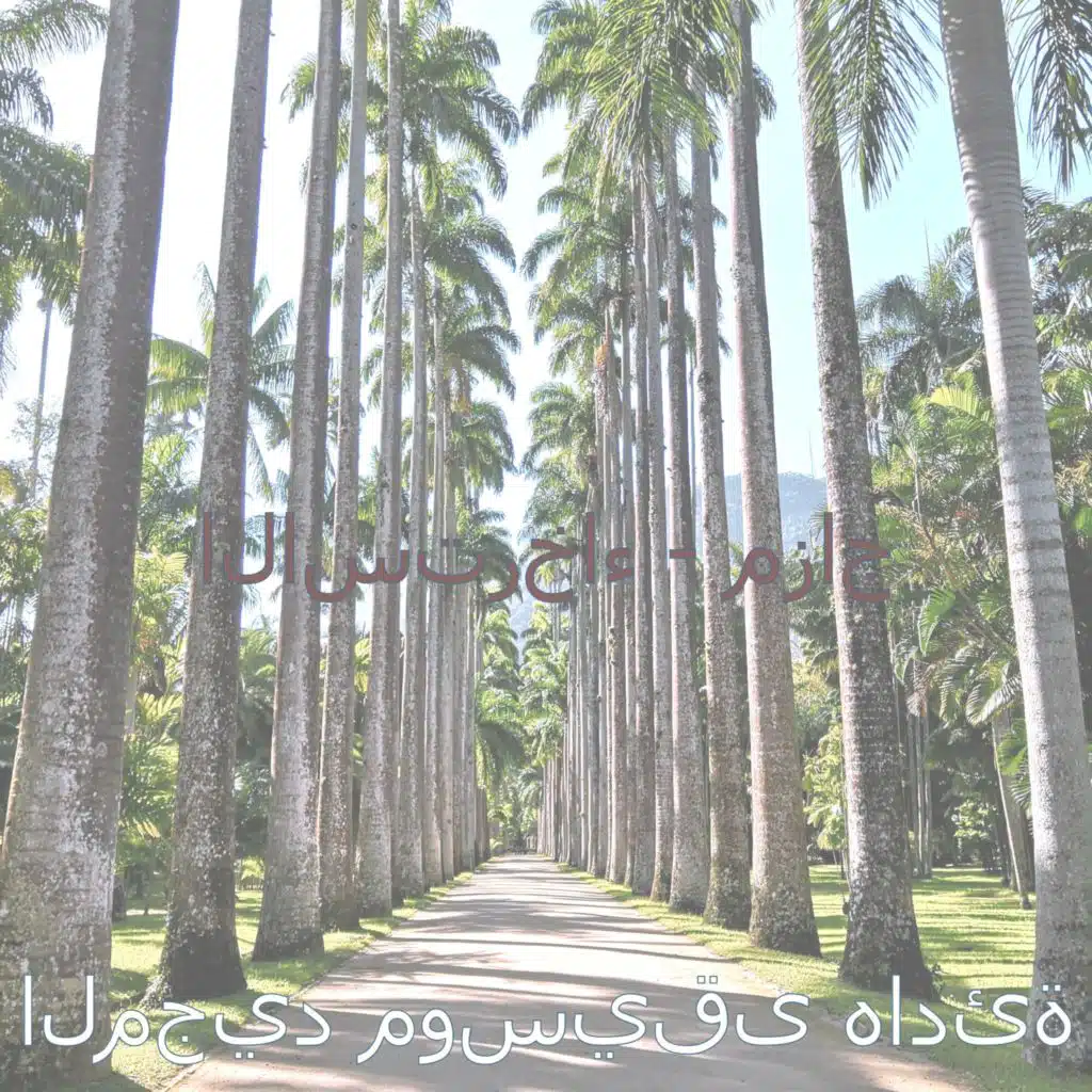 لحظة (النوم)