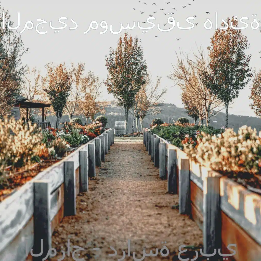 أحلام (الاسترخاء)