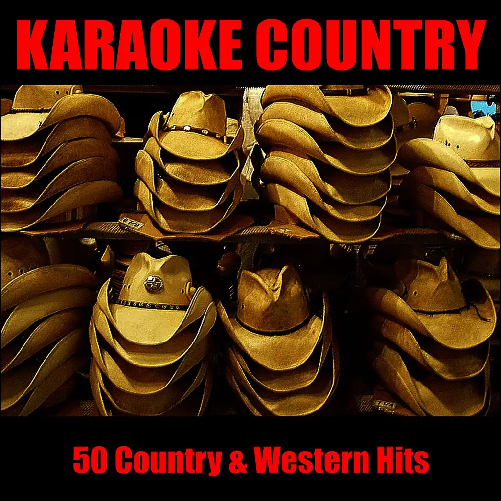 Country Hits: 22 Country & Western Hits