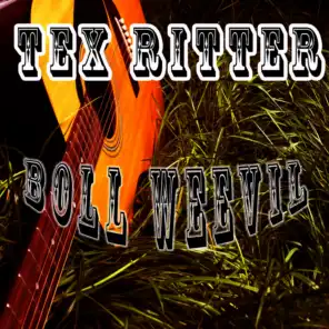 Boll Weevil (Re-Recorded)