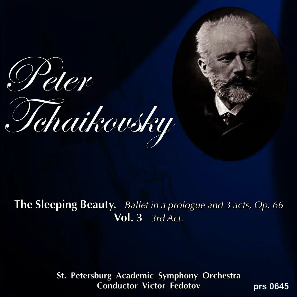 St. Petersburg Academic Symphony Orchestra