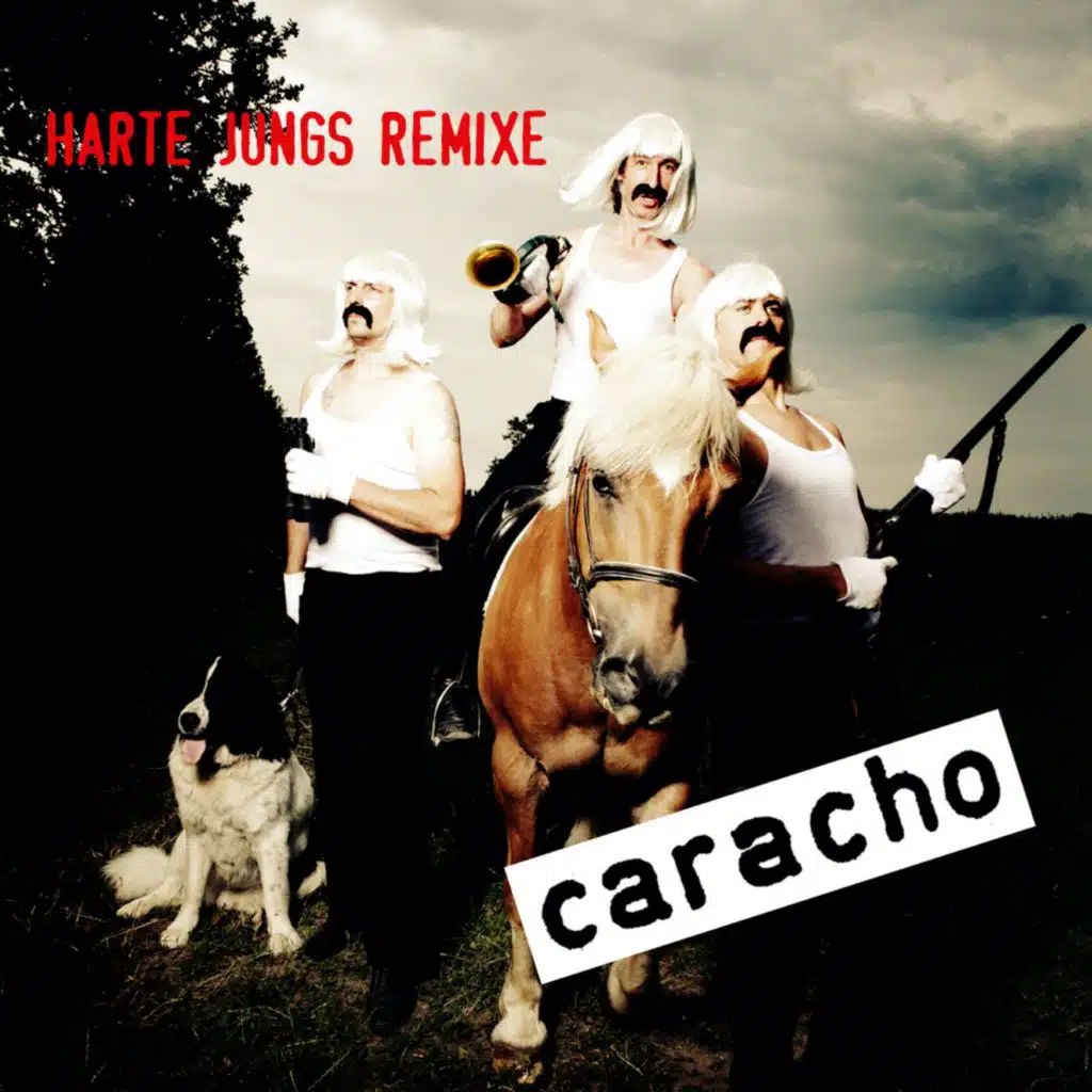 Harte Jungs (Remixe)