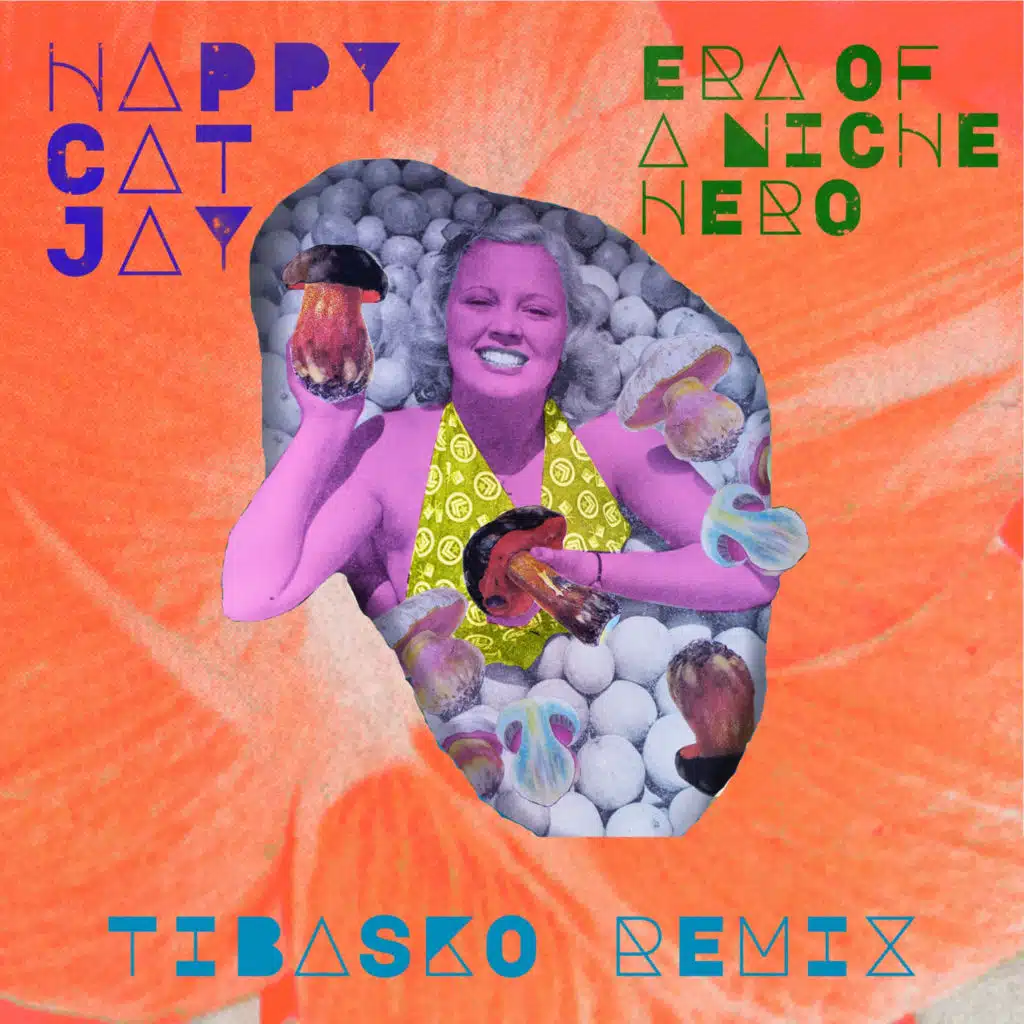 Era of a Niche Hero (Tibasko Remix)